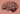 Image for post