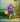 Image for post