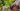 Image for post