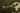 Image for post