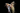 Image for post