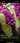 Image for post