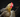 Image for post