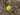 Image for post
