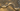 Image for post