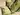 Image for post