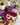 Image for post