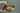 Image for post