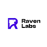 Ravenlabs Google