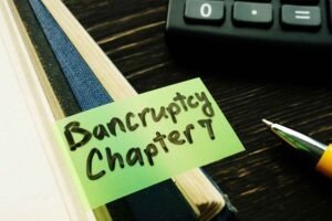 Chapter 13 Bankruptcy Made Easy