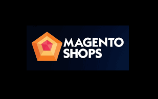 Why Should You Make Your Own Magento Website?