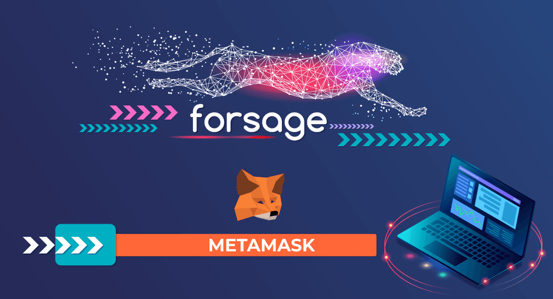 metamask forsage